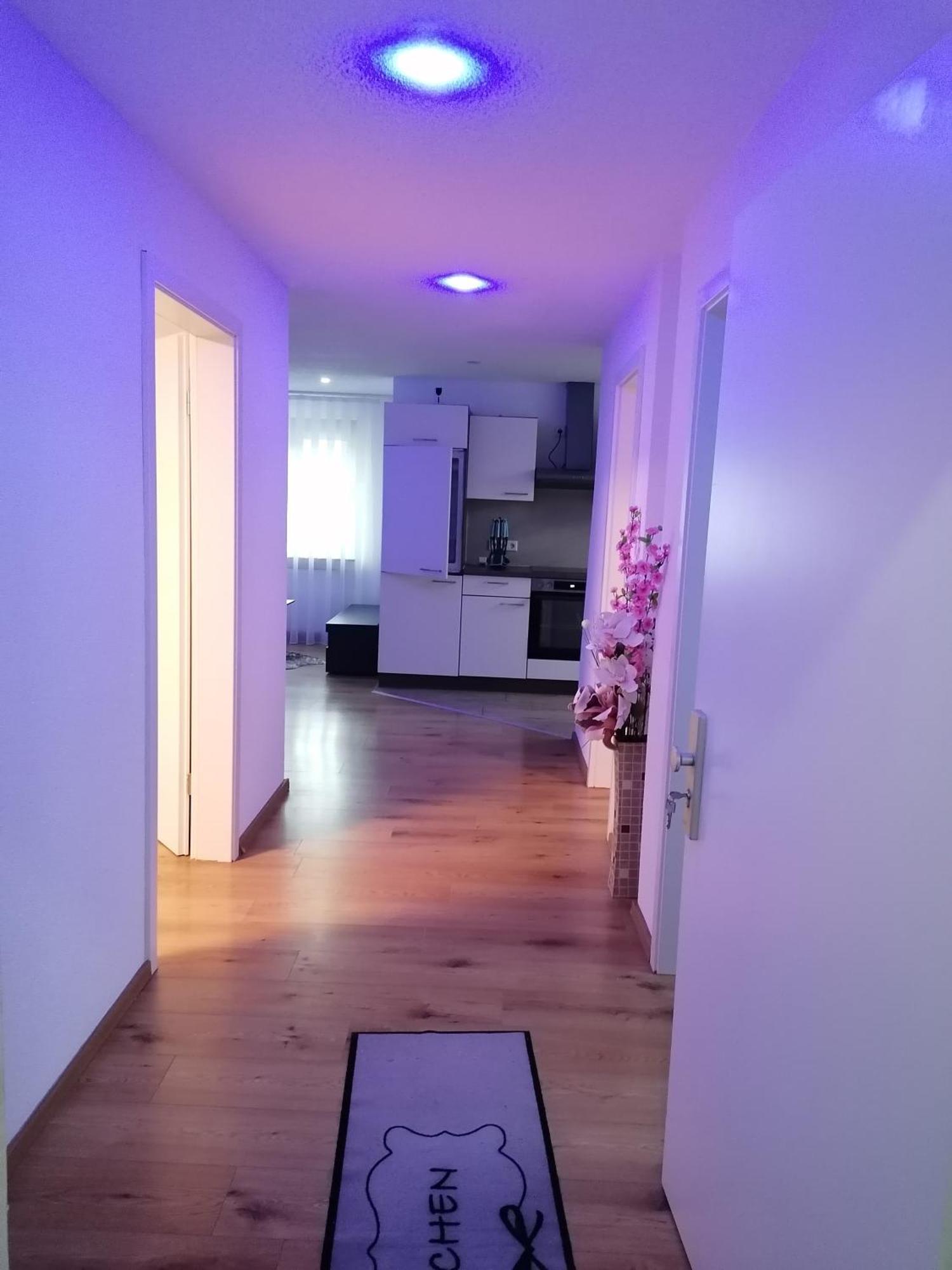Apartment An Der Schweizer Grenze 라우펜부르크 외부 사진