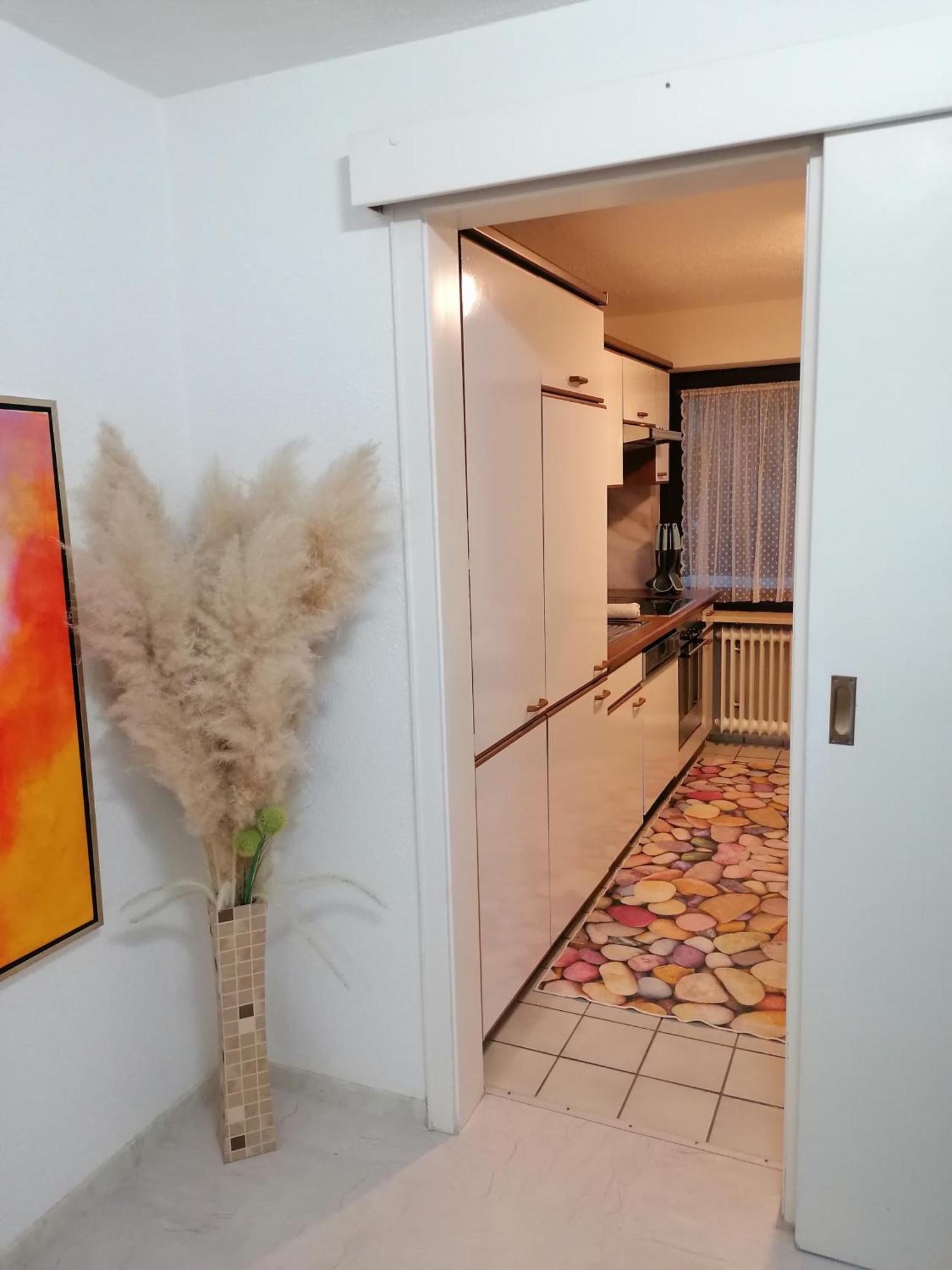 Apartment An Der Schweizer Grenze 라우펜부르크 외부 사진